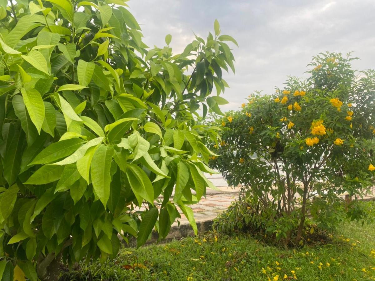 فندق Romyen House Ban Nong Nam Khan المظهر الخارجي الصورة